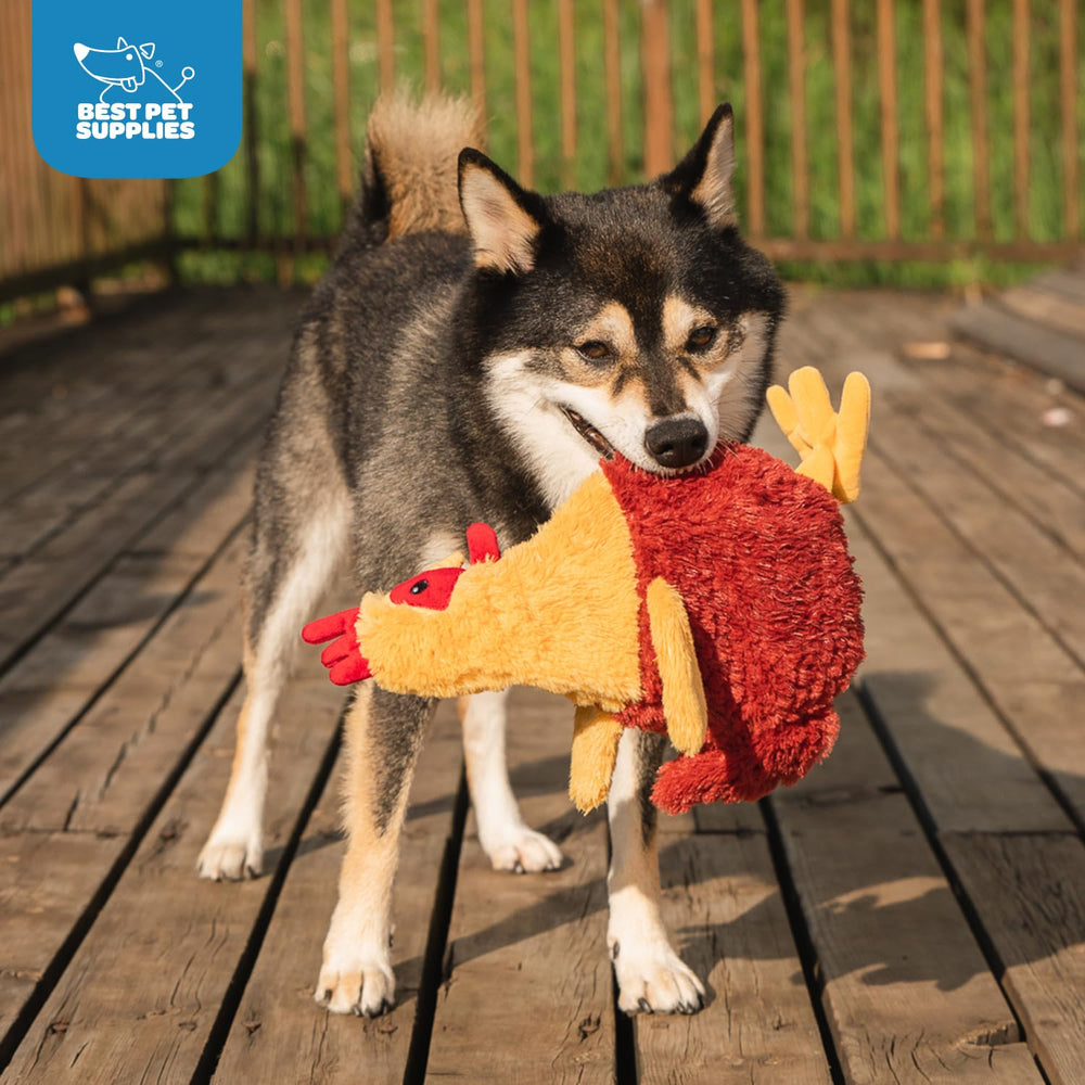 Best Pet Supplies Jouet Chien Interactif Éducation et Rapport – encourage le jeu de rapport et le lien.