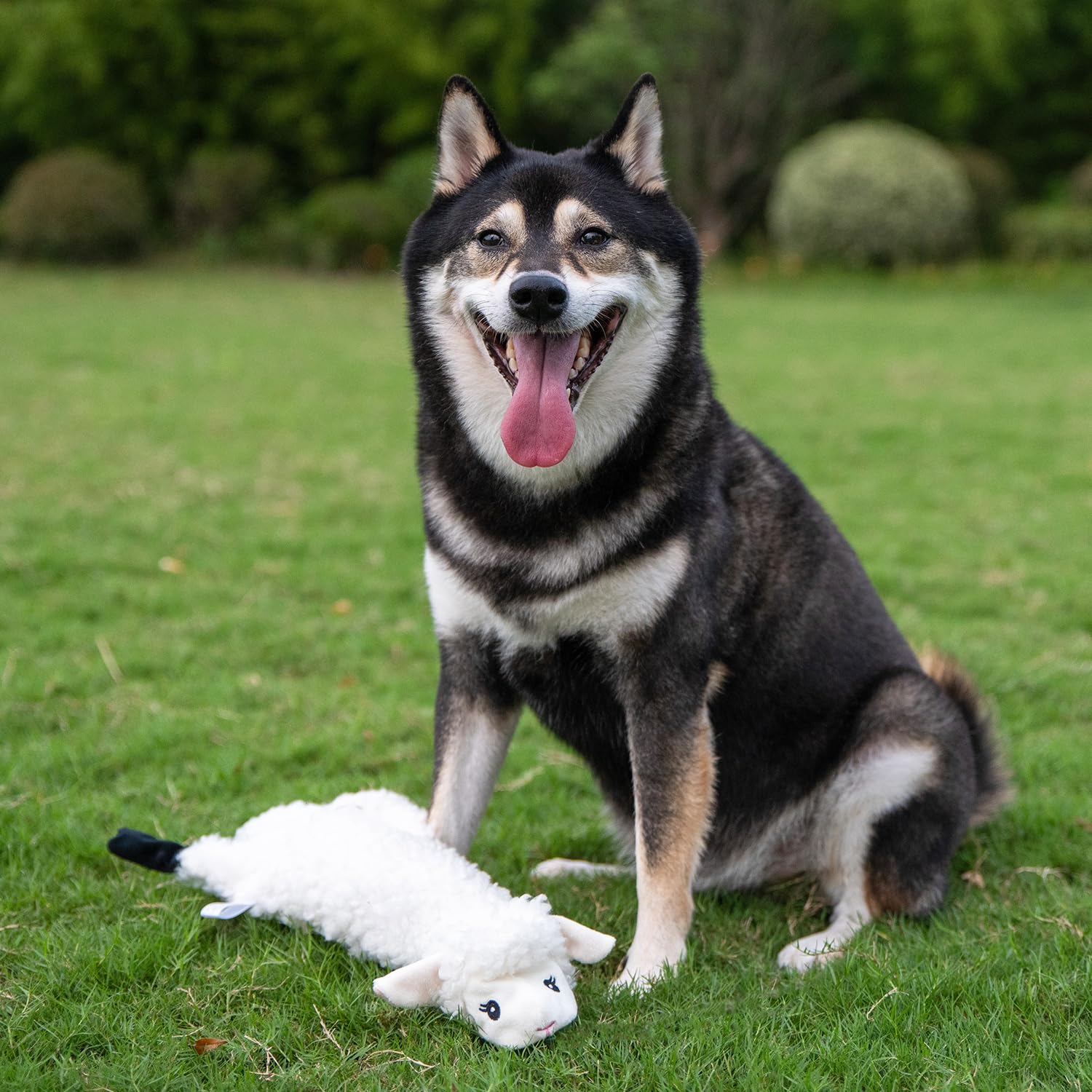 Best Pet Supplies jouet chien-siffleur autres-styles doux pour variété visuelle.