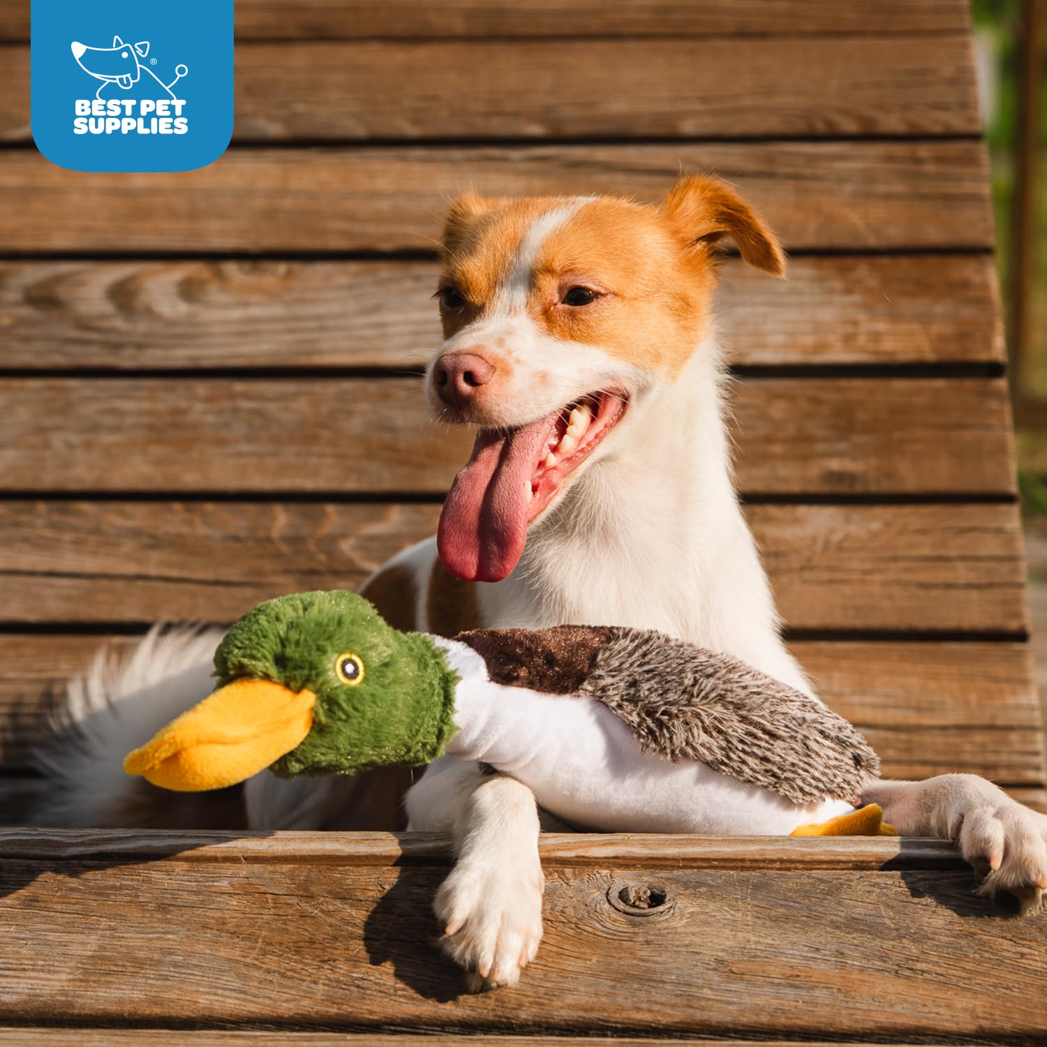 Best Pet Supplies canard jouet idéal pour le jeu de fetch et l’entraînement.