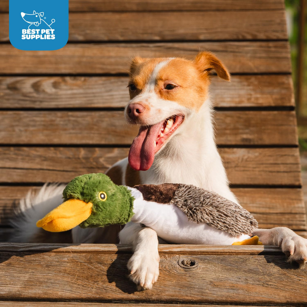Best Pet Supplies canard jouet idéal pour le jeu de fetch et l’entraînement.