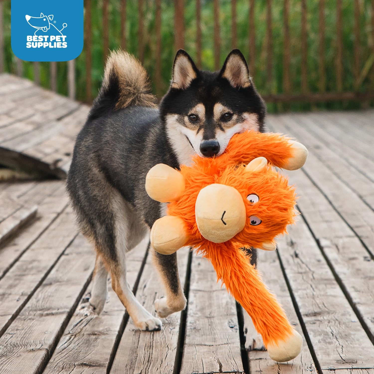 Best Pet Supplies jouet canard crinkle, exploration sensorielle