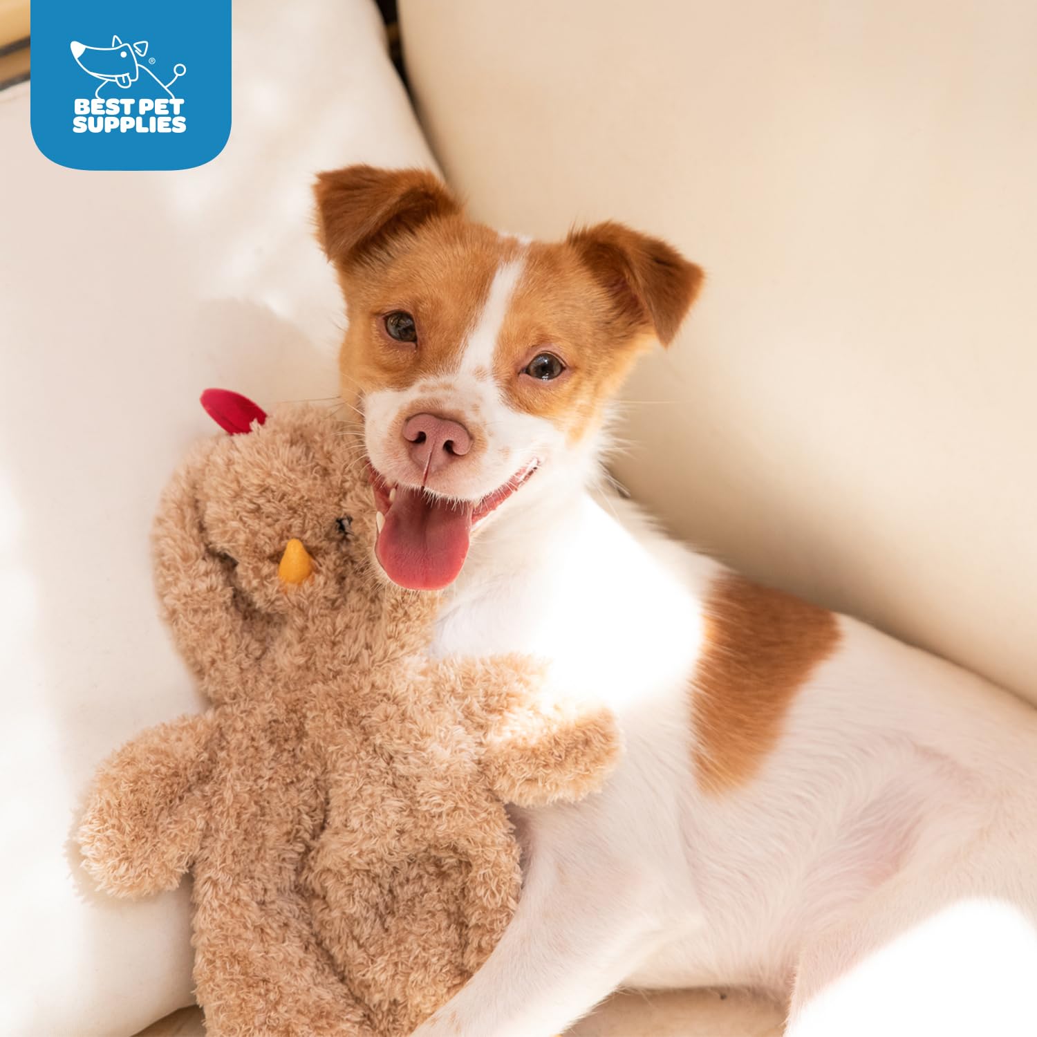 Best Pet Supplies : jouet qui crisse et craque offrant stimulation multisensorielle.