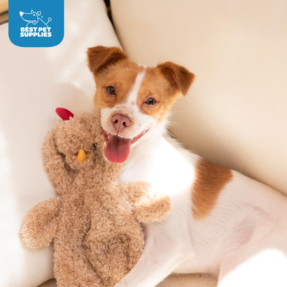 Best Pet Supplies : jouet qui crisse et craque offrant stimulation multisensorielle.