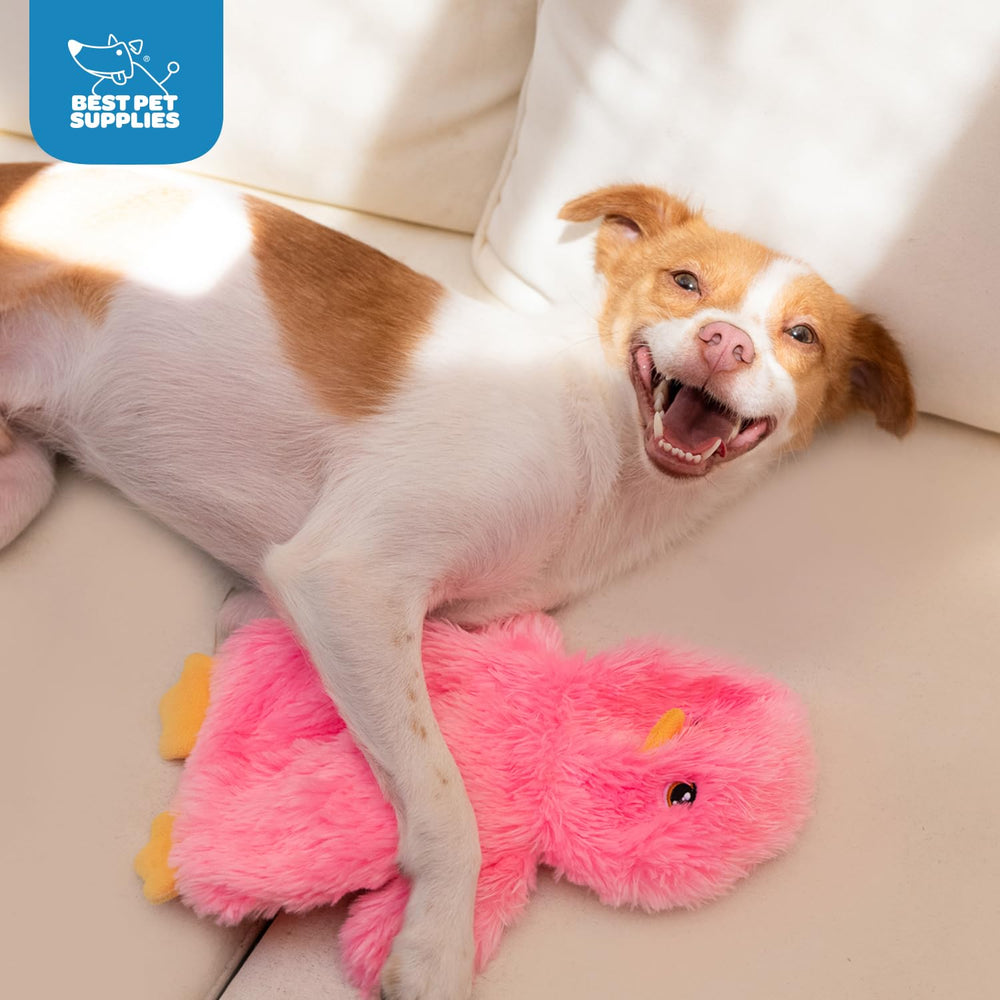 Best Pet Supplies jouet dentition interactif couinement poulet jaune, stimule le mordillage sain.