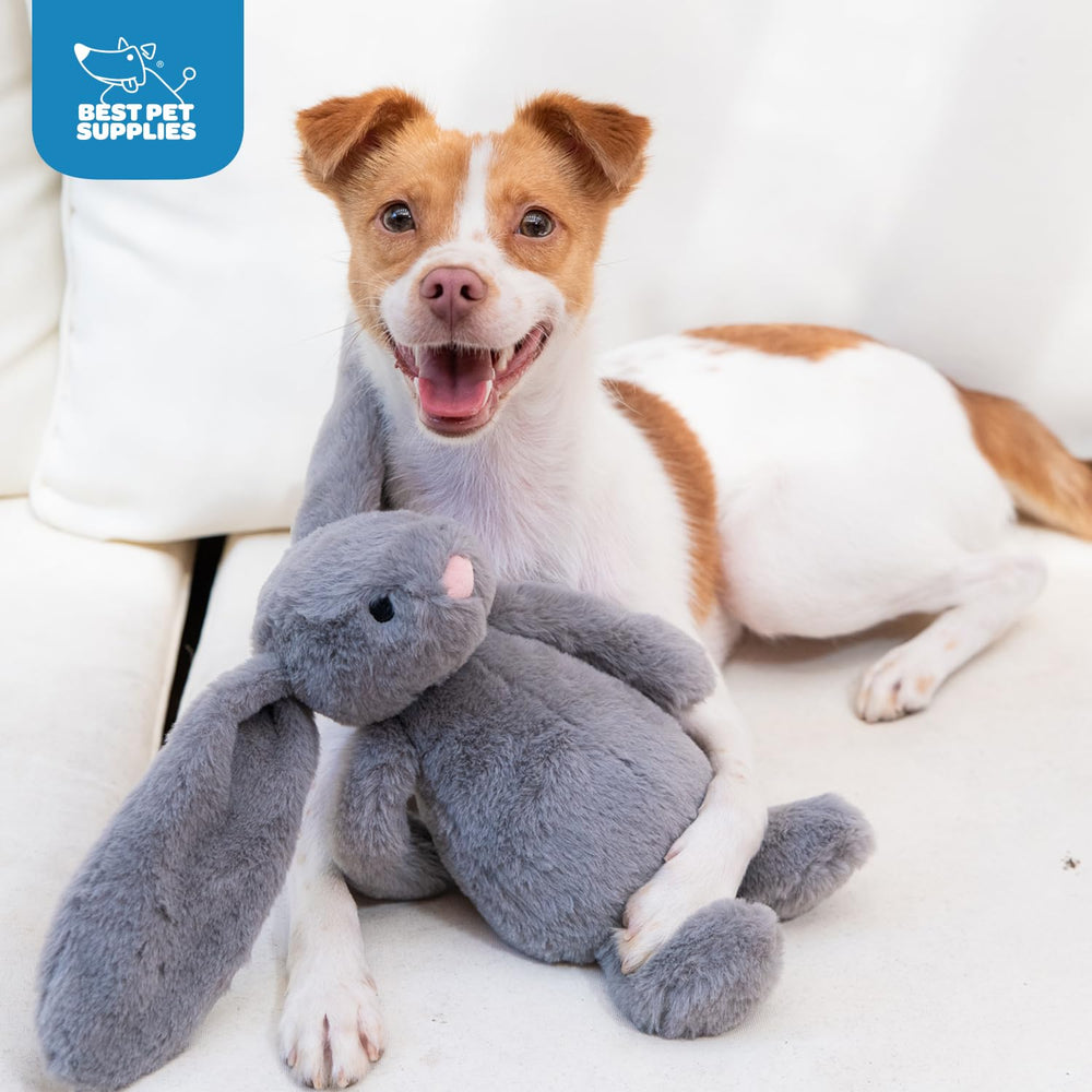 Best Pet Supplies jouet orang-outan peluche grand, design stimulant et réconfortant.