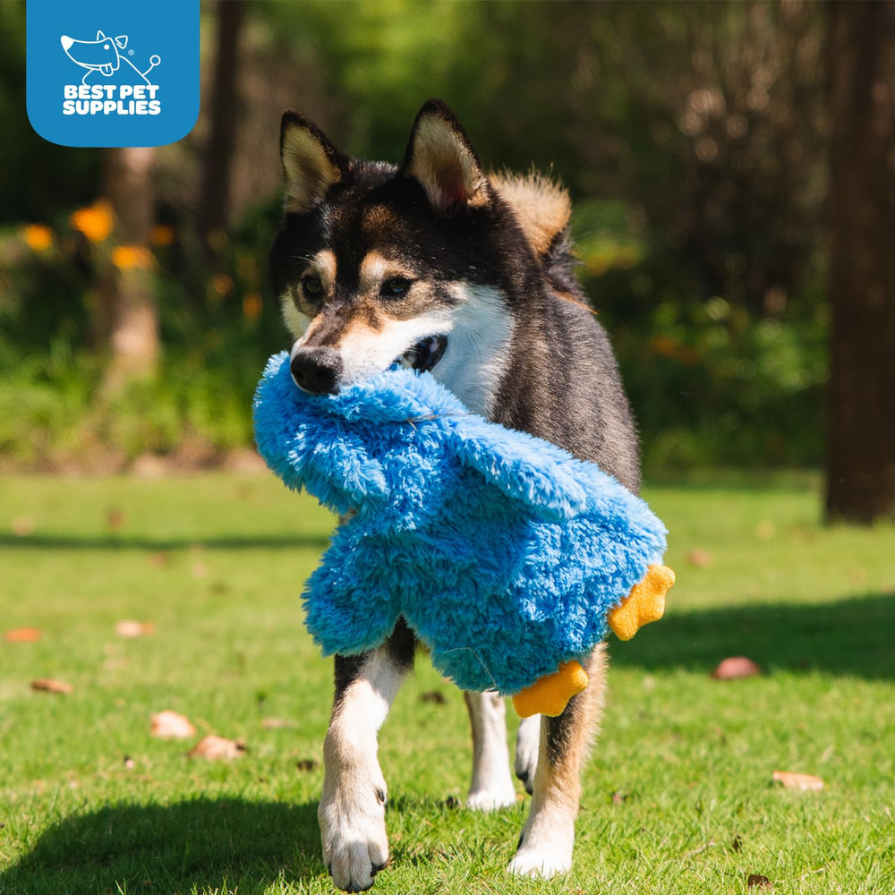 Best Pet Supplies: Jouet bleu qui siffle et crisse, stimule le chien curieux.