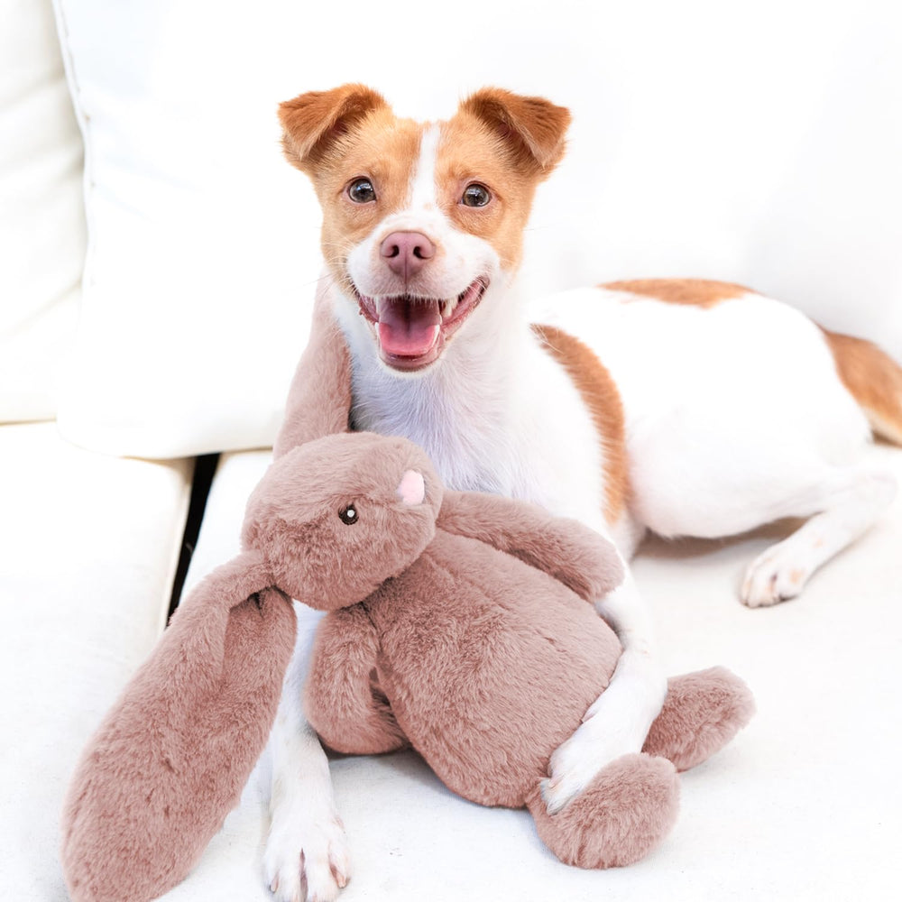 Best Pet Supplies orang-outan-sifflement, jouet interactif pour moments partagés.