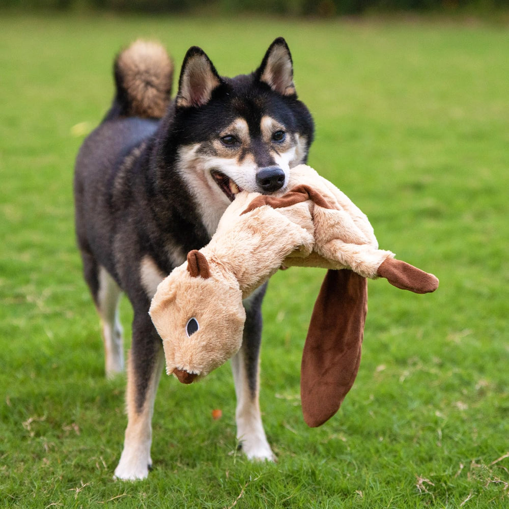 Best Pet Supplies jouet siffleur lièvre: jeu rapide et plaisir sûr.