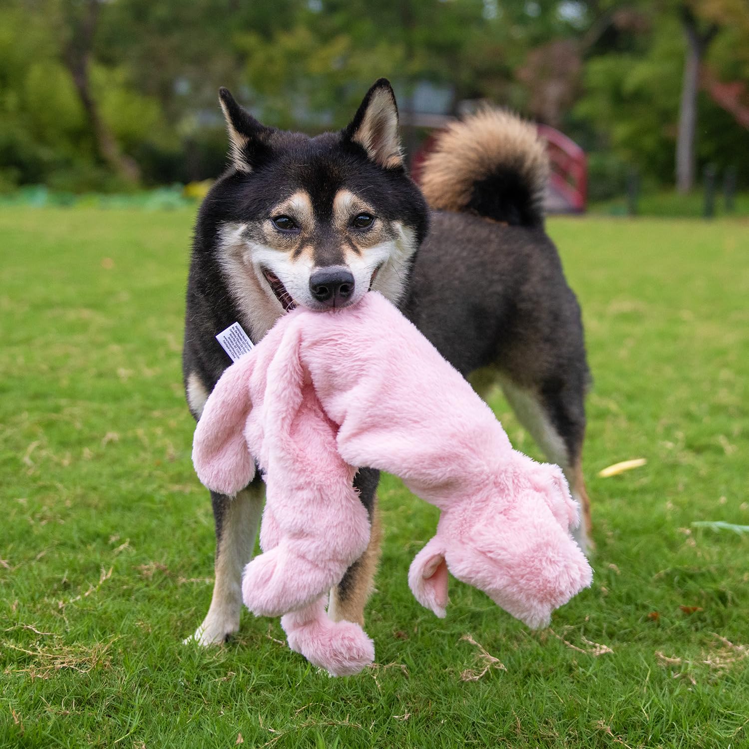 Best Pet Supplies – jouet à styles animaux variés, pour divers goûts et envies