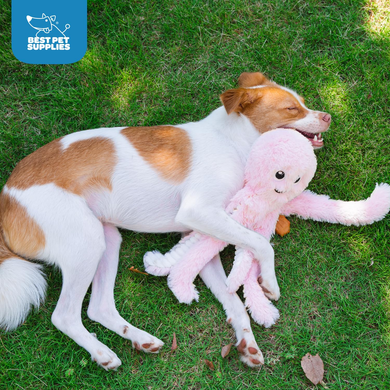 Best Pet Supplies Octomutant, jouet idéal pour fetch et jeux actifs.