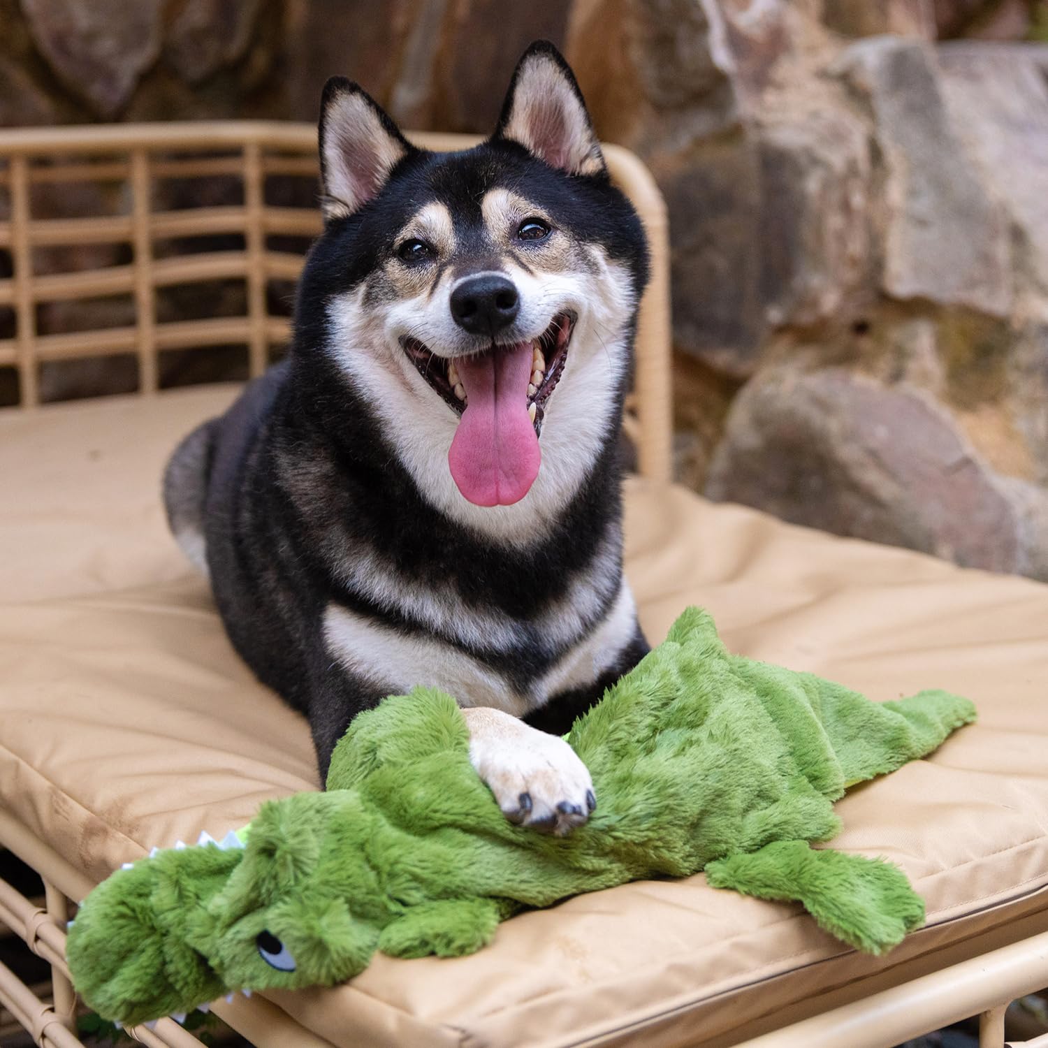 Best Pet Supplies - ouverture basse : ajoute le son et intrigue le chien.