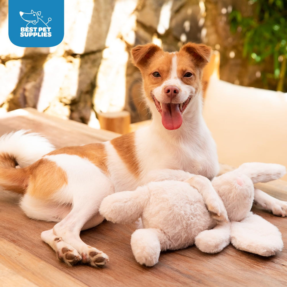 Best Pet Supplies peluche douce et extérieure robuste, mordeur léger pour chien.