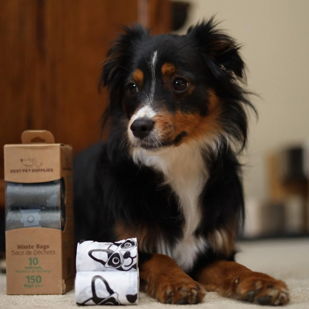 Best Pet Supplies qualité fiable: support client réactif pour questions