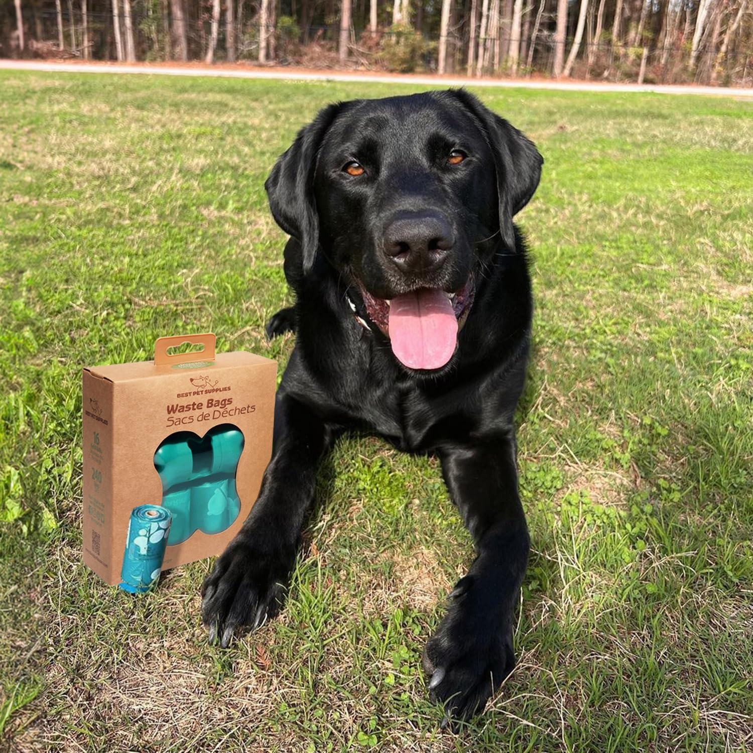 Best Pet Supplies assurance qualité, support rapide et fiable.
