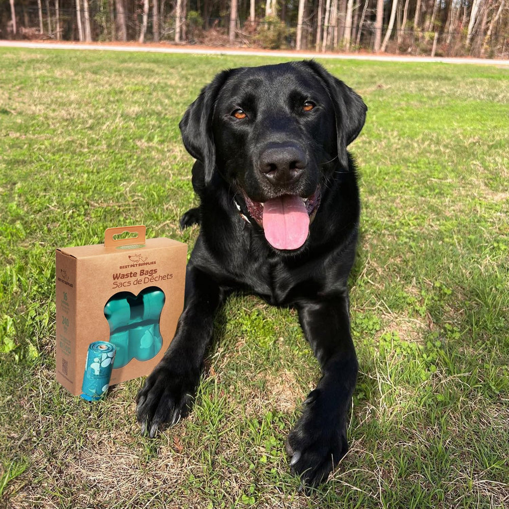 Best Pet Supplies assurance qualité, support rapide et fiable.