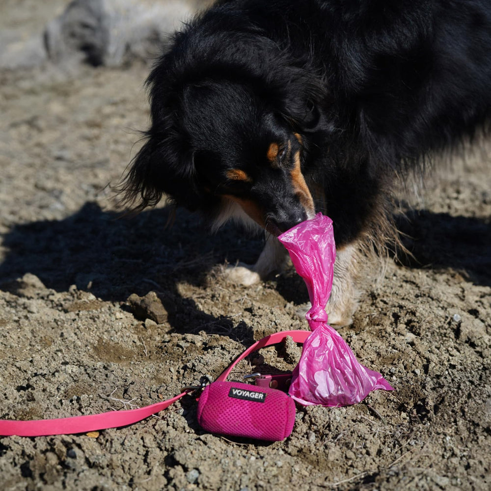 Sacs Best Pet Supplies pour voyage, pratique pour déchets et linge sale