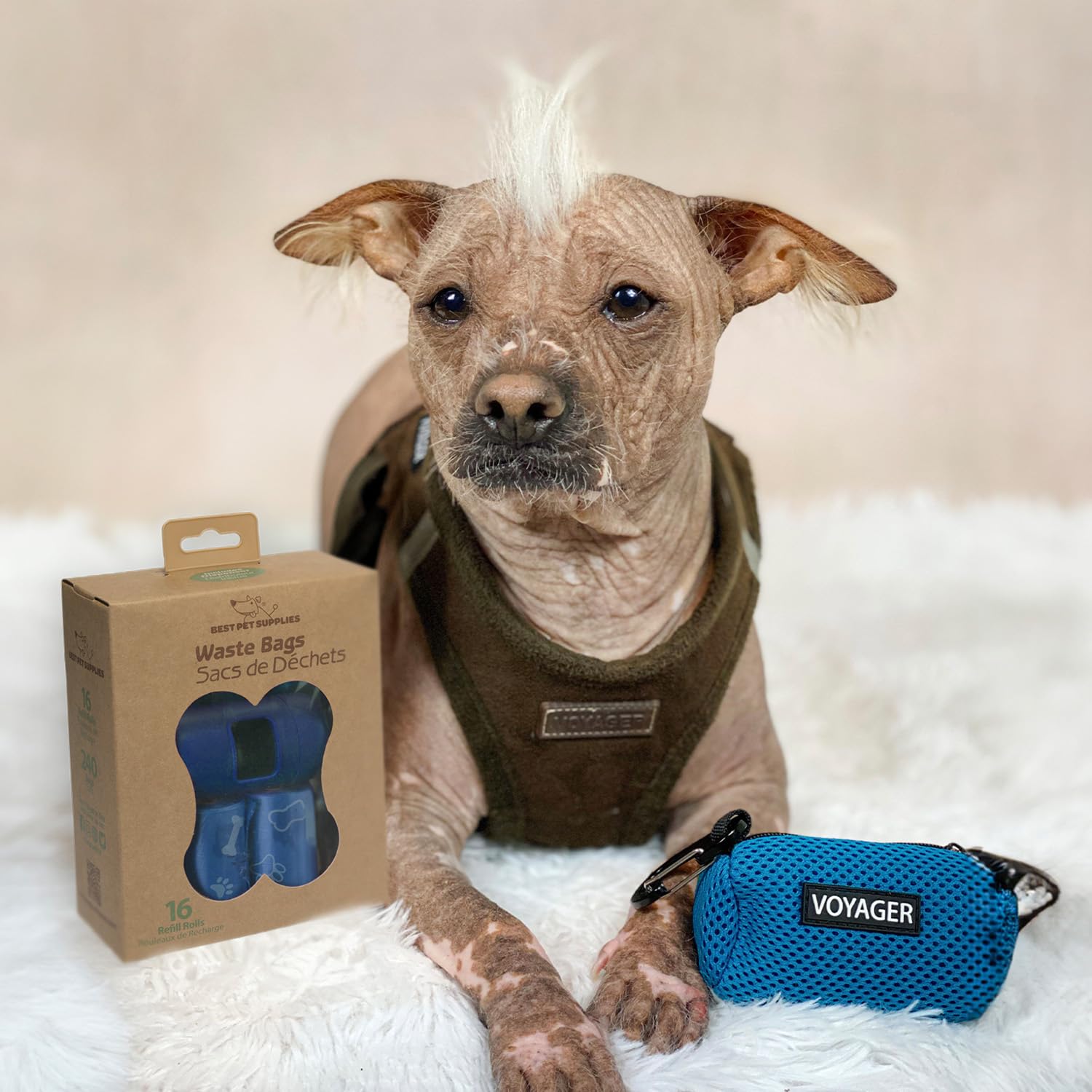 Best Pet Supplies bleu royal, sacs résistants pour sorties quotidiennes et aventures.