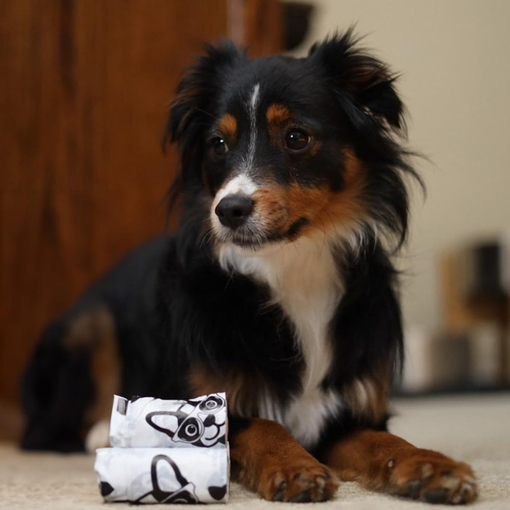 Best Pet Supplies sacs-crottes-voyage-usage pratique en voyage et en voiture.