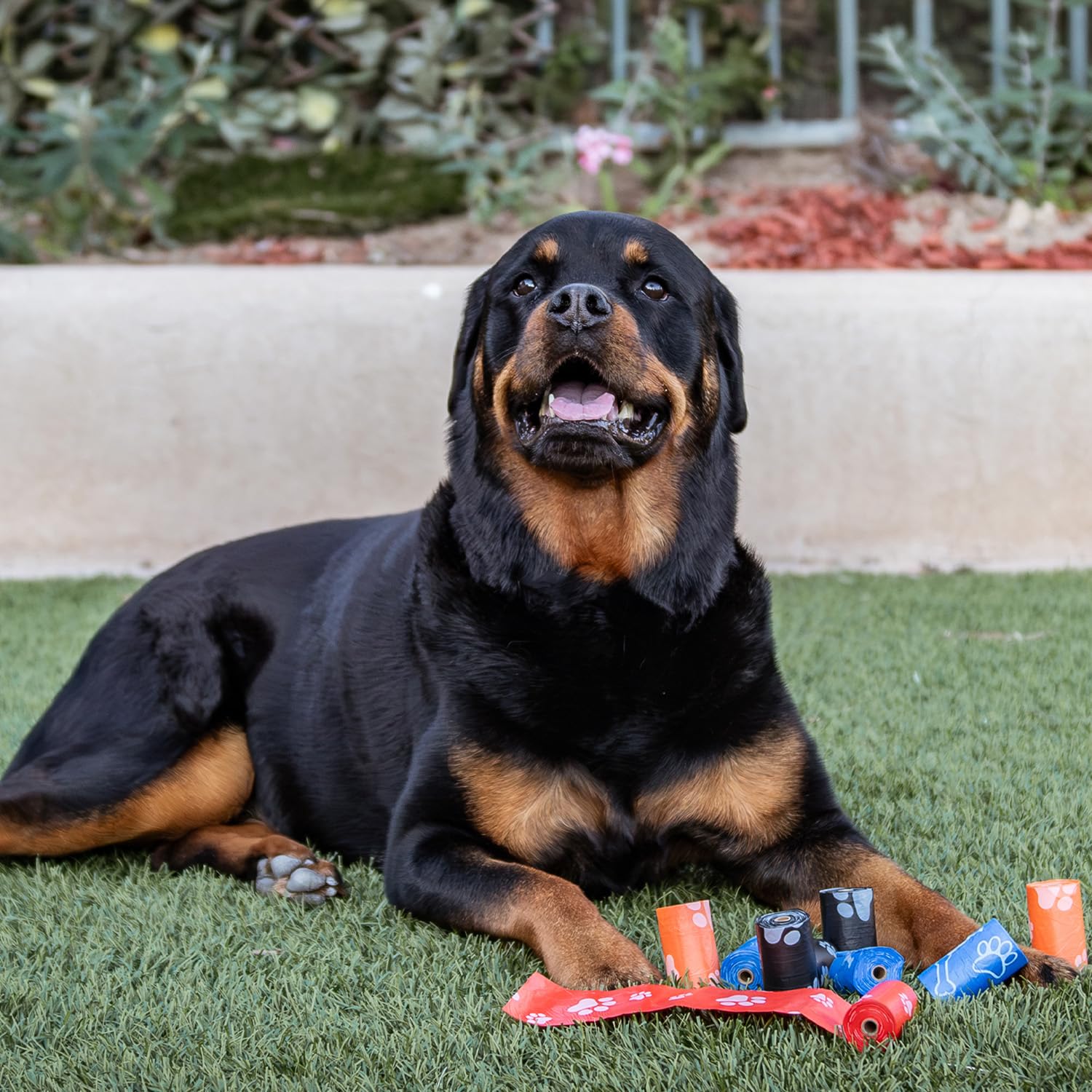 Best Pet Supplies sacs durables et étanches pour voyages et visites.
