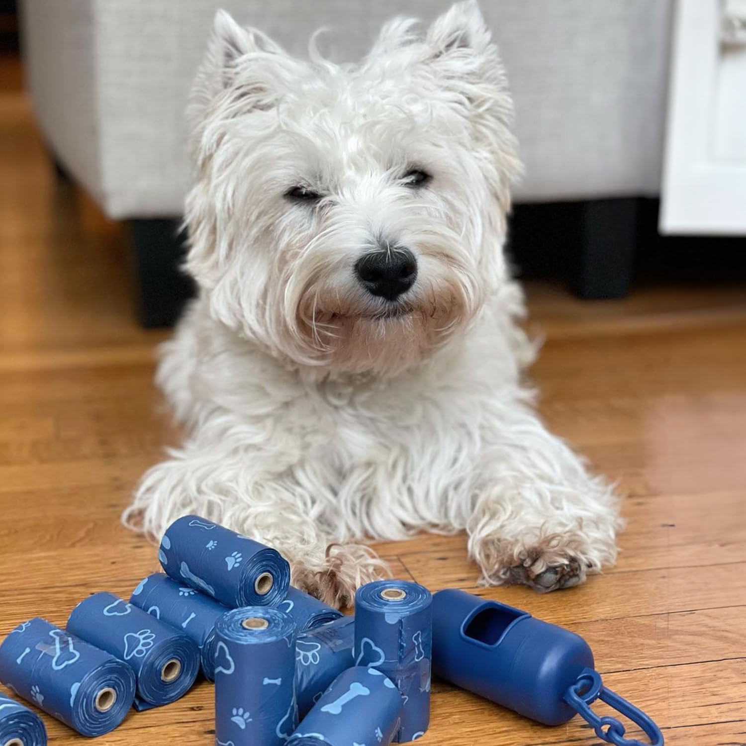 Best Pet Supplies — sacs-poubelle bleus résistants, parfaits pour le nettoyage après la promenade.