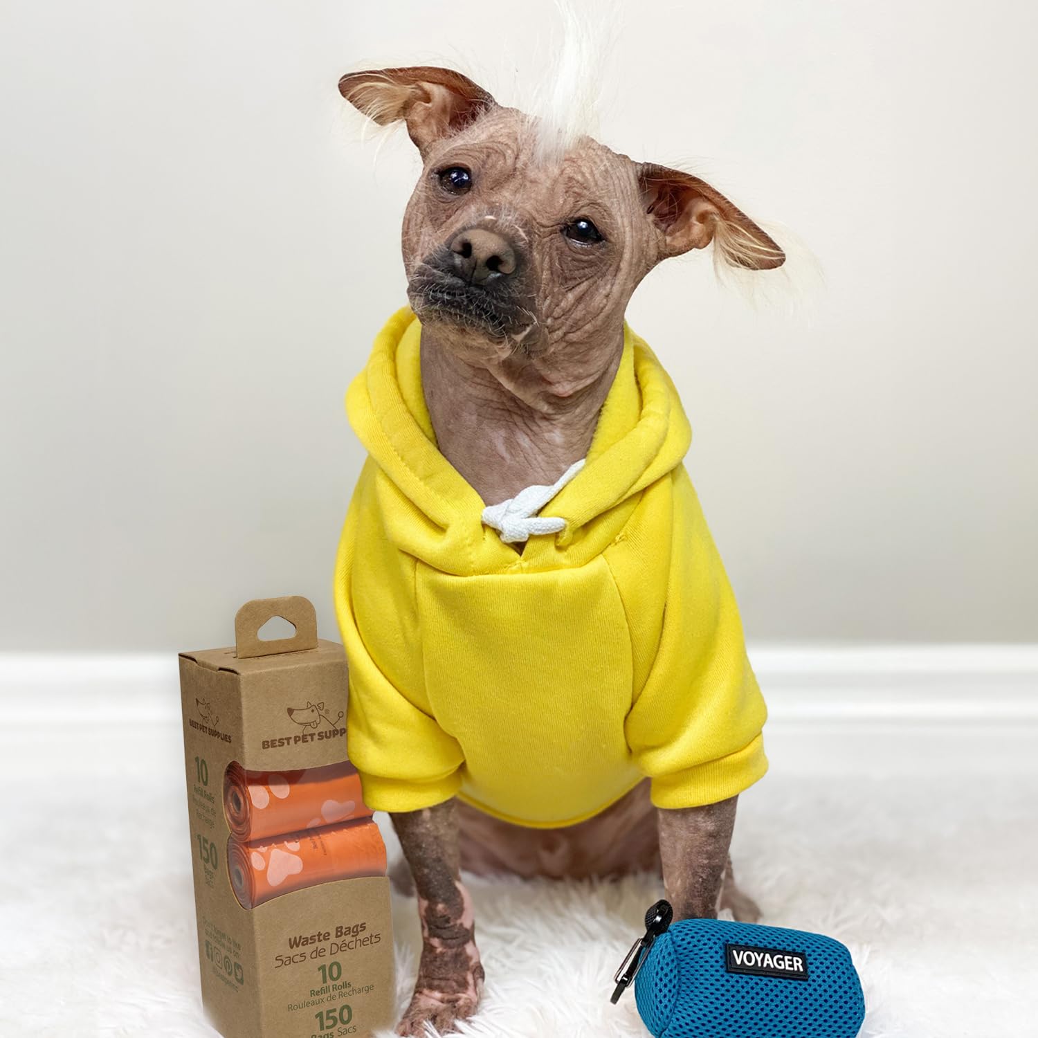 Utilisation polyvalente des sacs Best Pet Supplies en extérieur et voiture