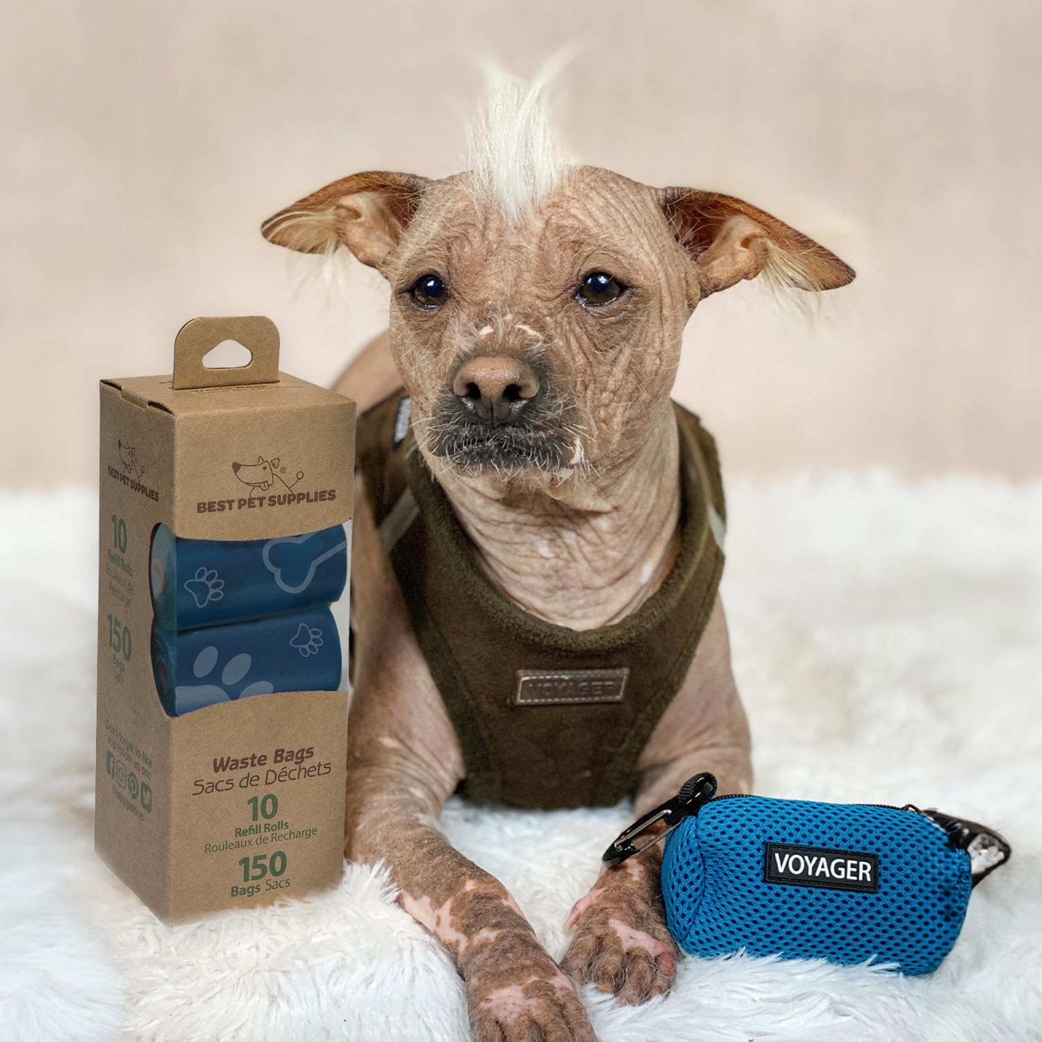 Best Pet Supplies service client rapide et fiable