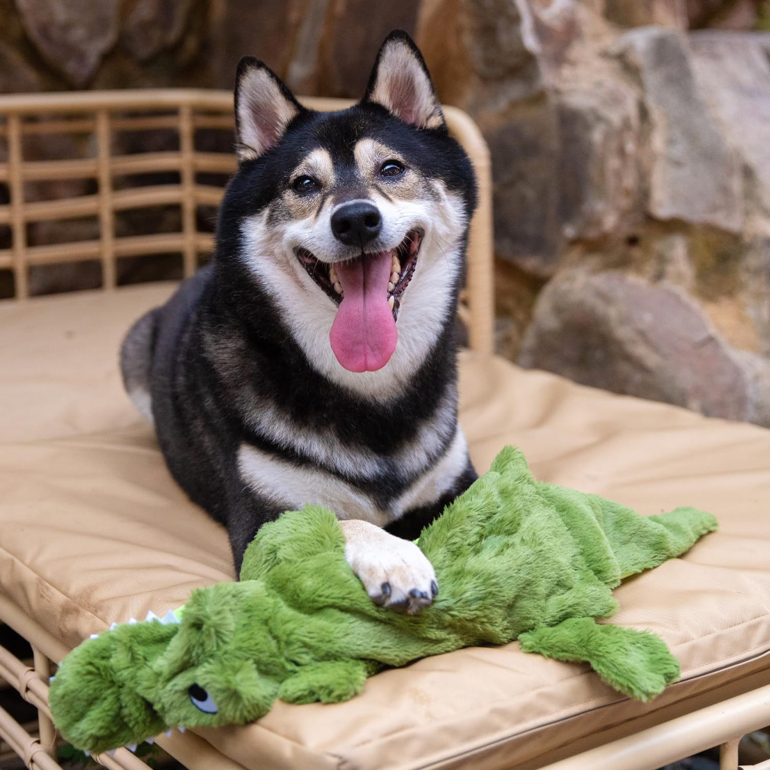 Best Pet Supplies Jouet Intérieur Sifflet: parfait pour jeux domestiques