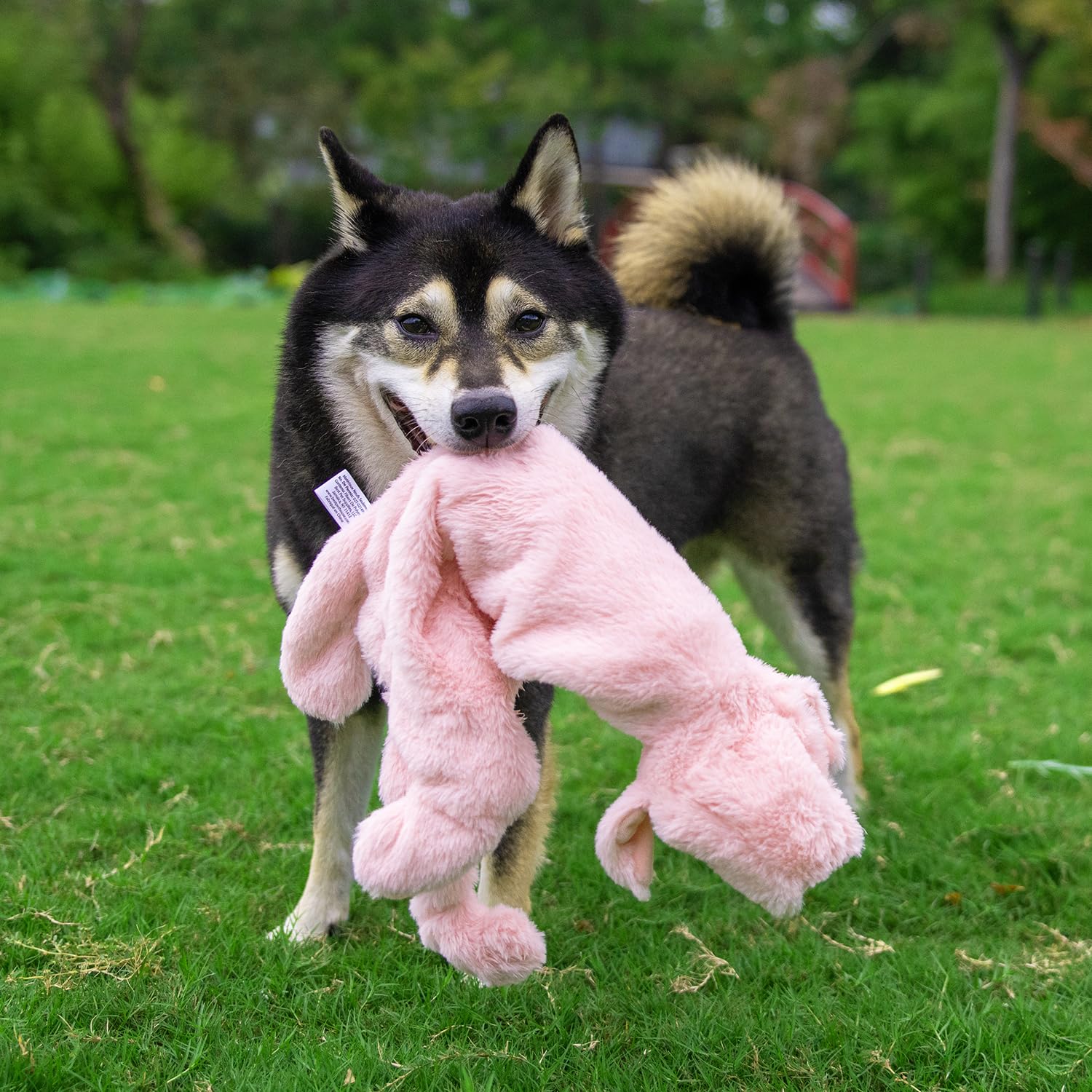 Best Pet Supplies autre-modele-jouet, variété et diversité de styles pour chiens