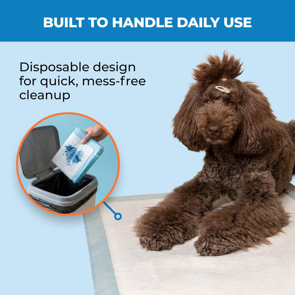 Best Pet Supplies tapis-pipi chiot bleu design pratique pour apprentissage intérieur.