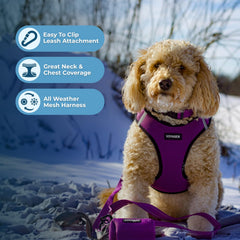 Bandes réfléchissantes Voyager Best Pet Supplies, meilleure visibilité lors des promenades du soir.