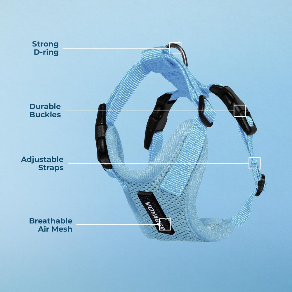 Boucles solides sur le harnais Voyager assurant une sécurité pratique lors des sorties.