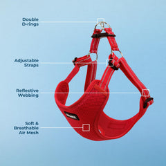 Guide de mesure imprimable pour un harnais parfaitement adapté.
