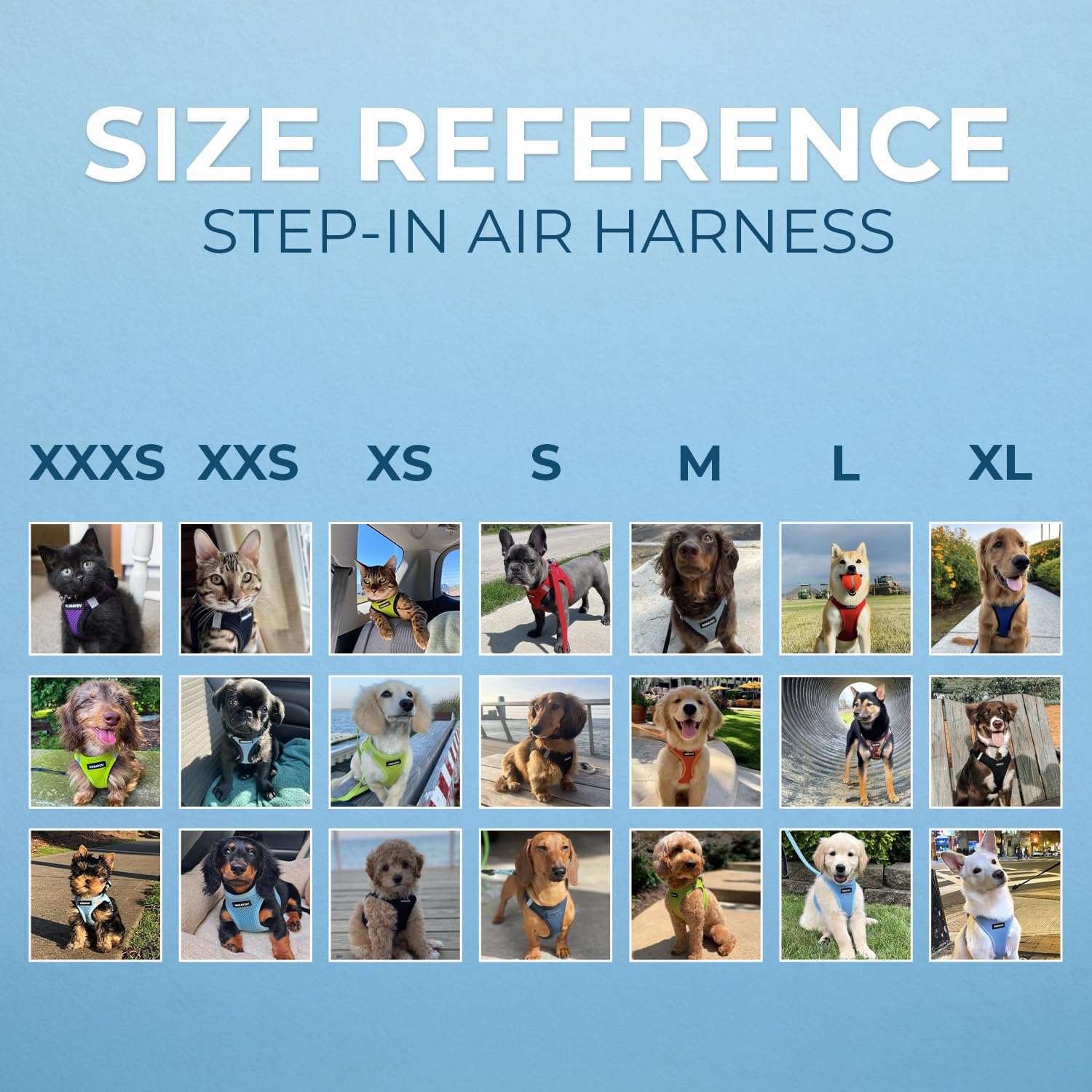 Best Pet Supplies Voyager guide des tailles imprimé pour un ajustement précis.