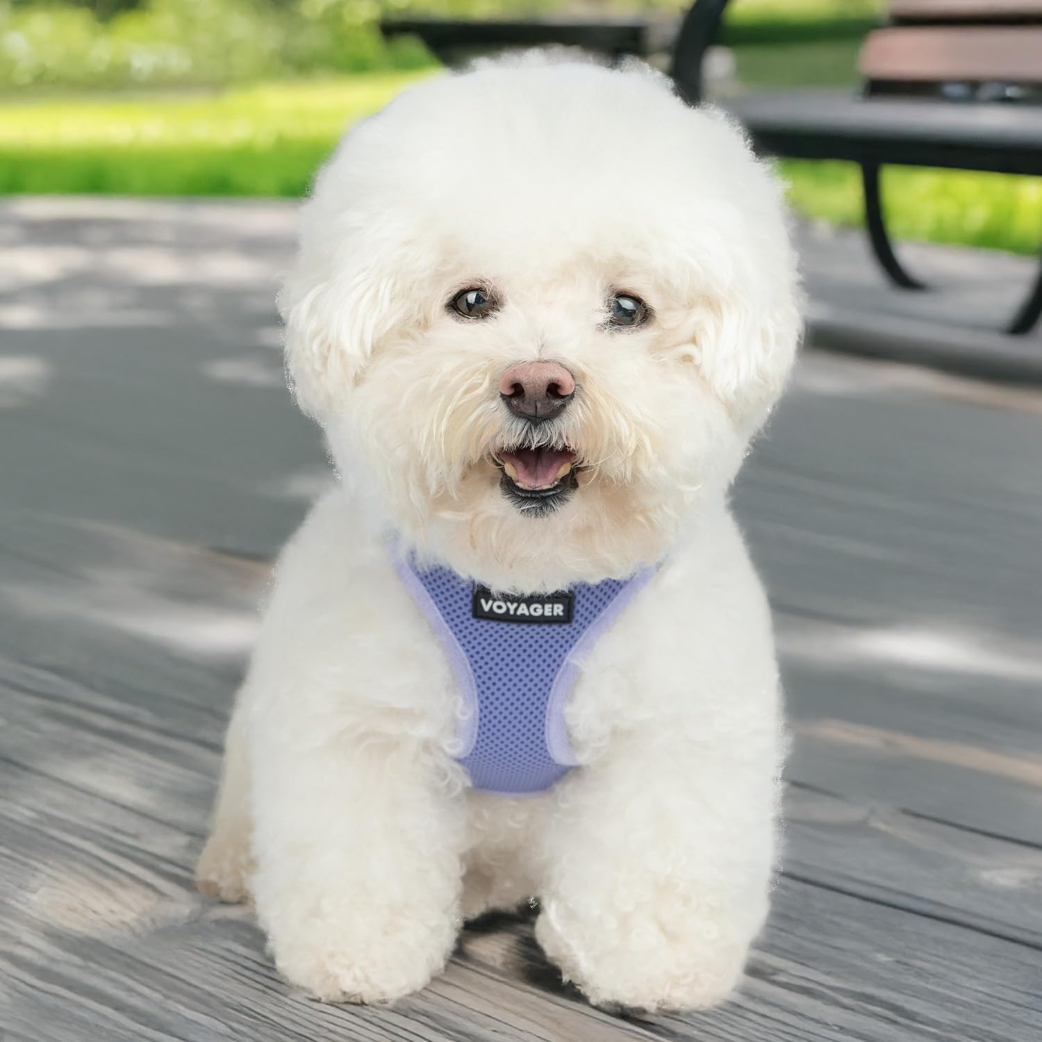 Harnais lavande Voyager Best Pet Supplies — mesh aéré pour une respiration confortable.