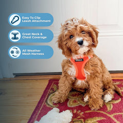 Bandes réfléchissantes sur le Voyager Best Pet Supplies améliorent la sécurité en faible luminosité.