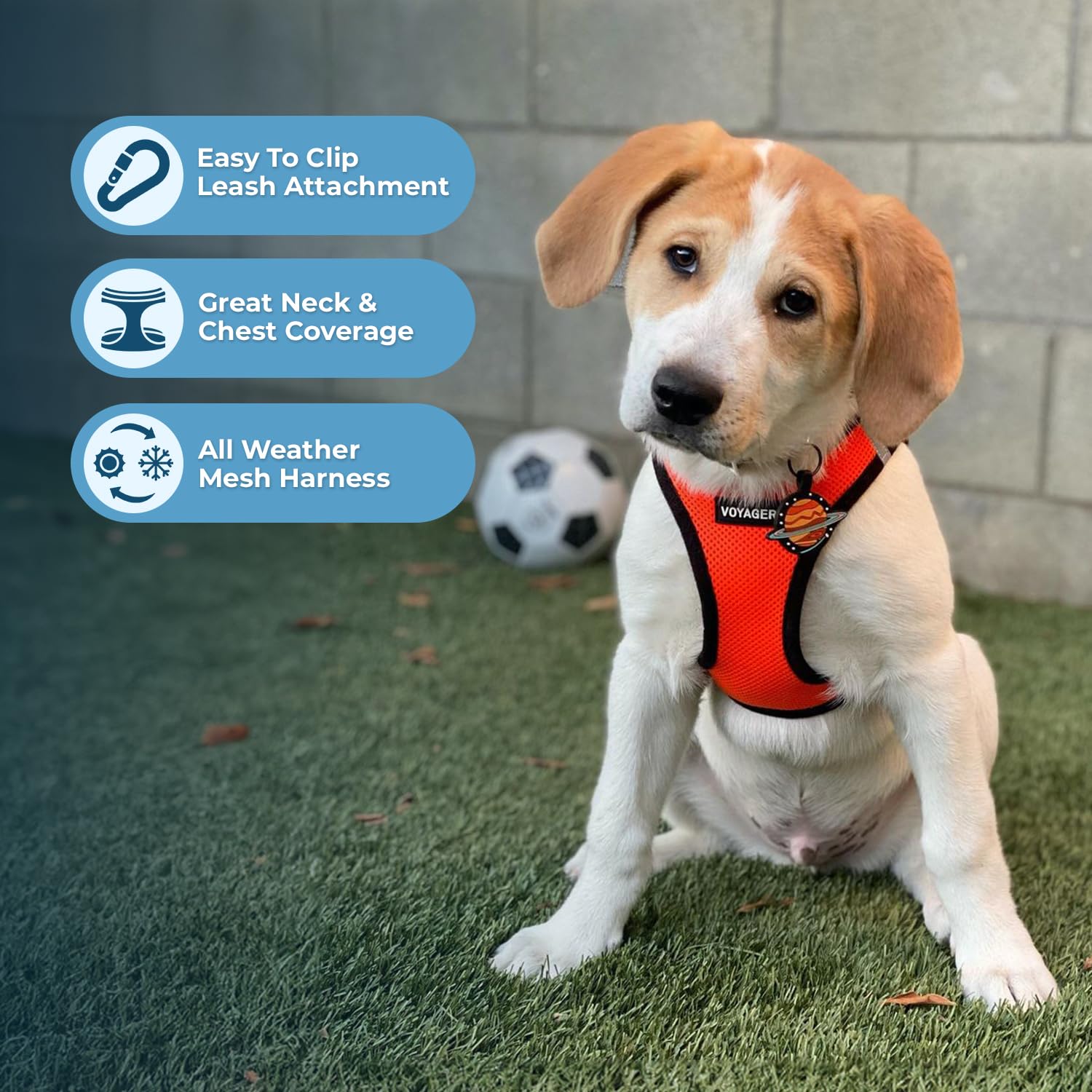 Harnais Best Pet Supplies Voyager bandes réfléchissantes pour une meilleure visibilité