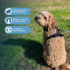 Voyager Best Pet Supplies, attache-arrière pour un contrôle sûr lors des balades.