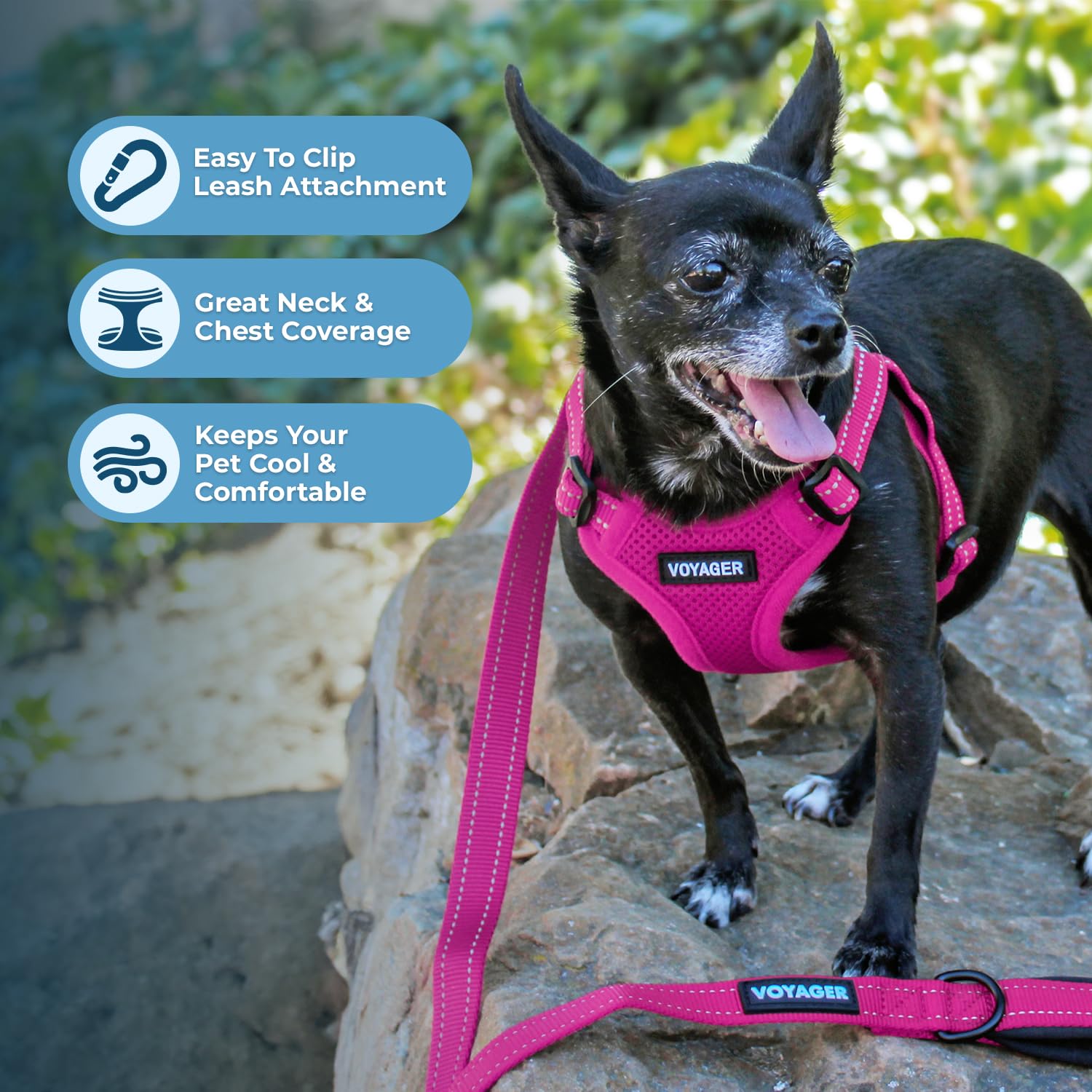 Best Pet Supplies Voyager : distribution de pression sur la poitrine pour des promenades plus calmes.