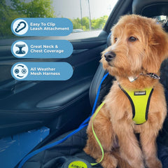 Best Pet Supplies Voyager Harnais — bandes réfléchissantes améliorant la visibilité.