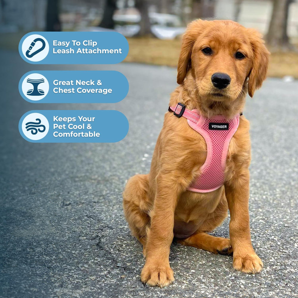 Harnais Best Pet Supplies Voyager, confort tout au long de l'année avec mesh respirant.