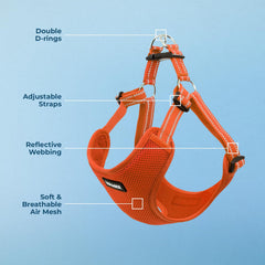 Harnais Voyager orange avec fermeture rapide, mise en place sans stress.