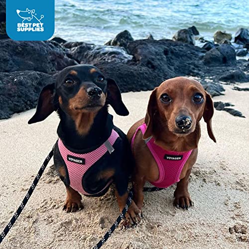 Harnais Voyager Best Pet Supplies couleur fuchsia, taille XL, facile à ajuster.