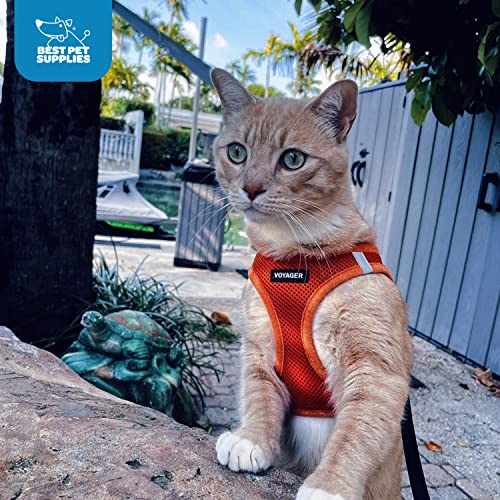 Harnais Voyager Best Pet Supplies convient pour usage quotidien même par temps frais.