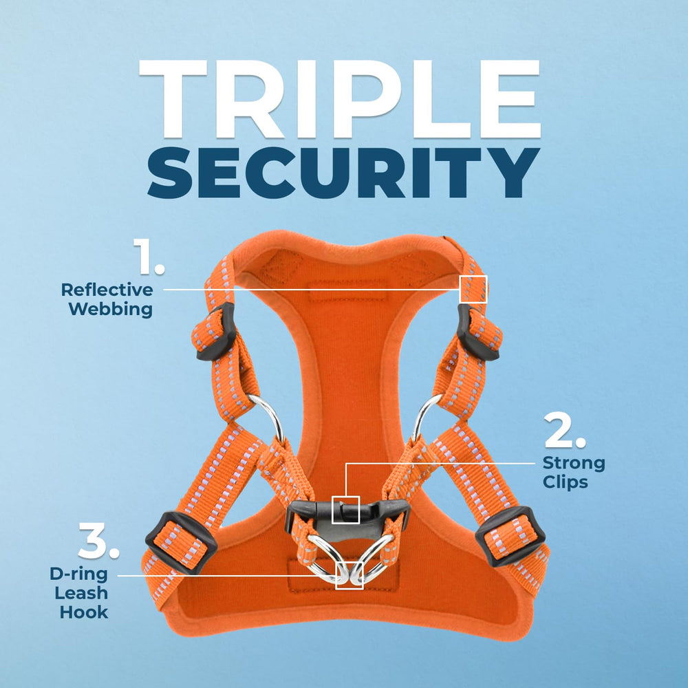 Harnais Voyager orange en maille, confort respirant pour les balades.