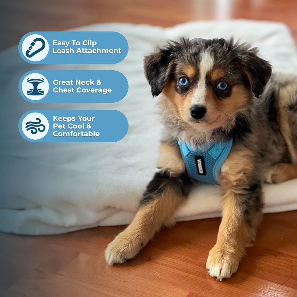 Voyager harnais Best Pet Supplies maillage respirant idéal pour les promenades par temps chaud.