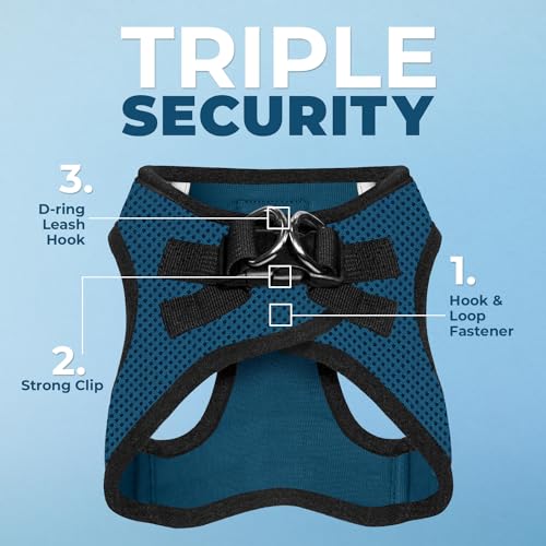 Harnais en mesh aéré Voyager bleu noir idéal pour promenades estivales.