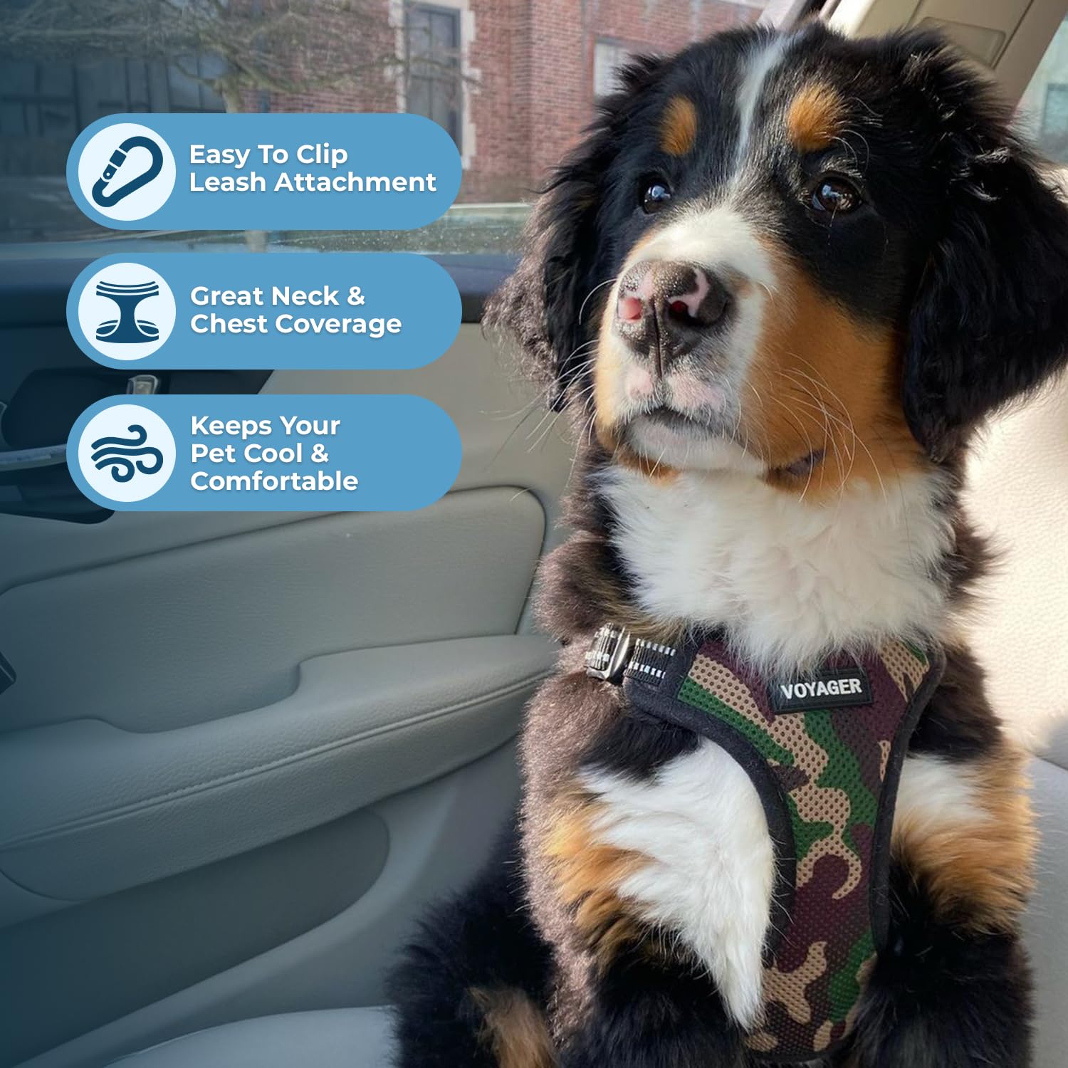 Best Pet Supplies Voyager harnais mesh doux et léger pour toutes les saisons.