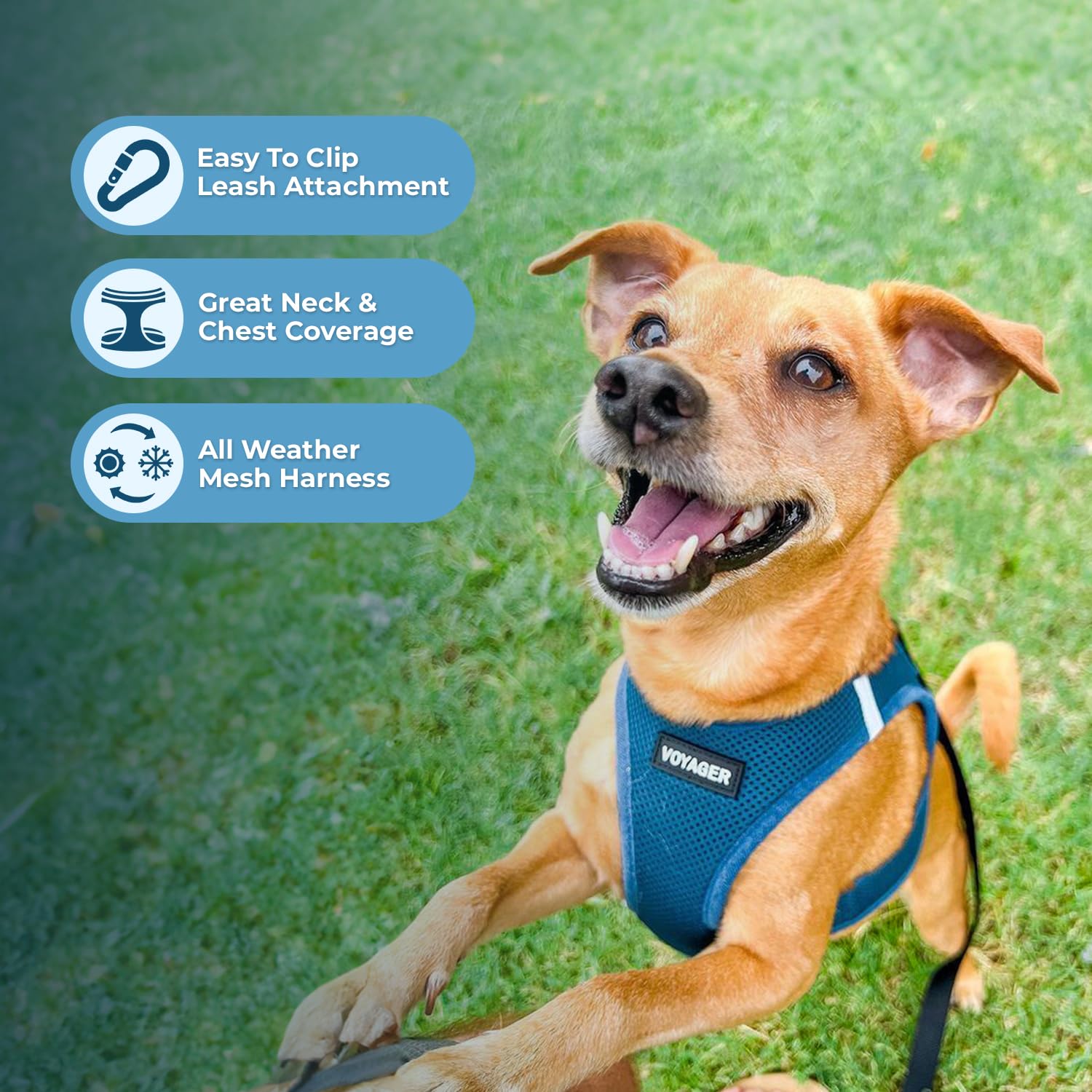 Harnais réfléchissant Best Pet Supplies avec bandes pour sécurité lumineuse.