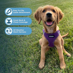 Harnais sans tirage Voyager Best Pet Supplies pour promenades plus sûres.