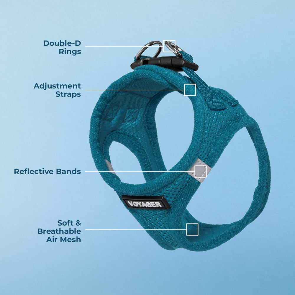 Best Pet Supplies Voyager harnais turquoise, boucle robuste, sécurité renforcée pendant les balades.